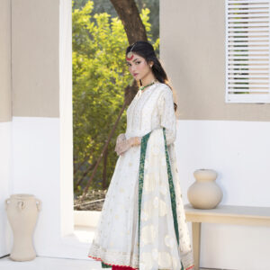 Home pani blush frock